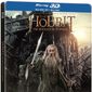 Poster 4 The Hobbit: The Desolation of Smaug
