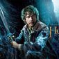 Poster 11 The Hobbit: The Desolation of Smaug