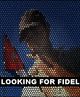 Film - Looking for Fidel