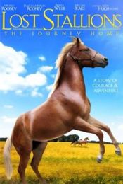 Poster Lost Stallions: The Journey Home