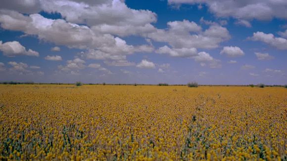 Australia: Land Beyond Time