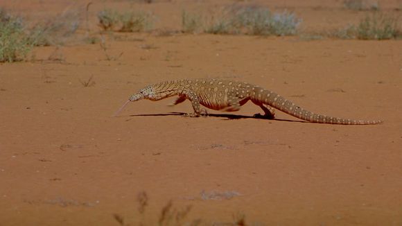 Australia: Land Beyond Time