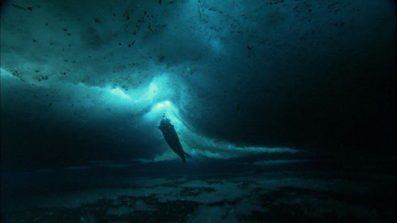 Encounters at the End of the World