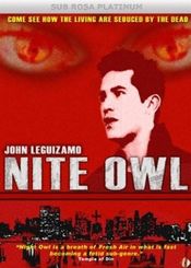 Poster Night Owl
