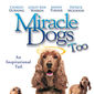 Poster 2 Miracle Dogs Too