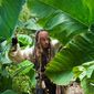Foto 59 Johnny Depp în Pirates of the Caribbean: On Stranger Tides