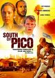 Film - South of Pico