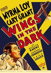 Poster Wings in the Dark