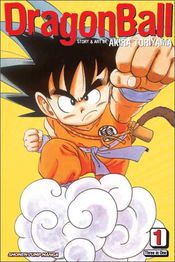 Poster Goku's Rival