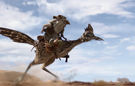 Film - Rango