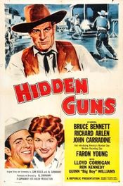 Poster Hidden Guns