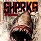 Poster 1 Shark in Venice