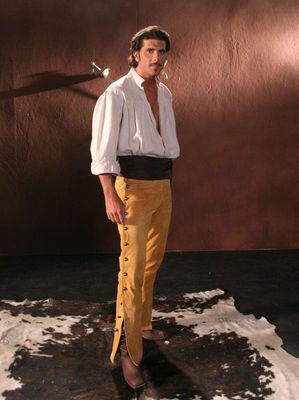Zorro: La espada y la rosa