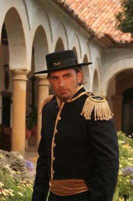 Zorro: La espada y la rosa