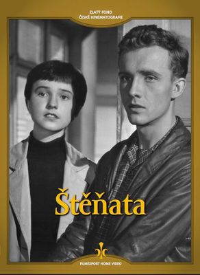 Stenata poster