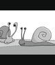 Film - Snailrun
