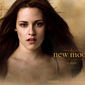 Poster 17 The Twilight Saga: New Moon