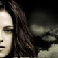 Poster 35 The Twilight Saga: New Moon