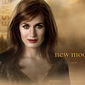 Poster 16 The Twilight Saga: New Moon