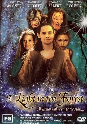 A Light in the Forest poster