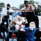 Foto 7 Zebrahead