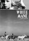 Film Crin blanc: Le cheval sauvage