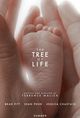 Film - The Tree of Life