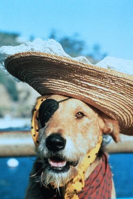 Sherlock: Undercover Dog