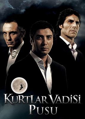 Kurtlar vadisi poster