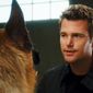 Foto 19 Chris O'Donnell în Cats & Dogs: The Revenge of Kitty Galore