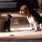Cats & Dogs: The Revenge of Kitty Galore/Câini și pisici: răzbunarea lui Kitty Galore