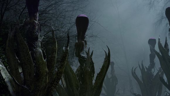 The Day of the Triffids