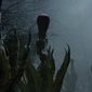 The Day of the Triffids/Ziua trifidelor