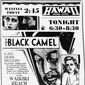 Poster 13 The Black Camel