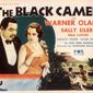 Poster 14 The Black Camel