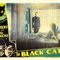 Poster 8 The Black Cat