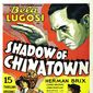 Poster 2 Shadow of Chinatown