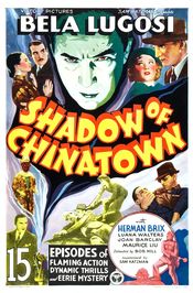 Poster Shadow of Chinatown