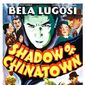 Poster 1 Shadow of Chinatown