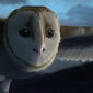 Foto 13 Legend of the Guardians: The Owls of Ga'Hoole