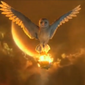 Legend of the Guardians: The Owls of Ga'Hoole/Legende din regatul bufnițelor