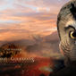 Poster 12 Legend of the Guardians: The Owls of Ga'Hoole