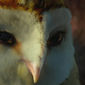 Legend of the Guardians: The Owls of Ga'Hoole/Legende din regatul bufnițelor