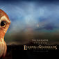 Poster 10 Legend of the Guardians: The Owls of Ga'Hoole