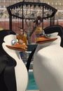 Film - The Penguins of Madagascar