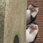 Foto 3 The Penguins of Madagascar