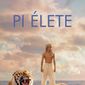 Poster 13 Life of Pi