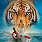 Poster 6 Life of Pi