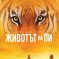 Poster 41 Life of Pi