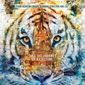 Poster 26 Life of Pi
